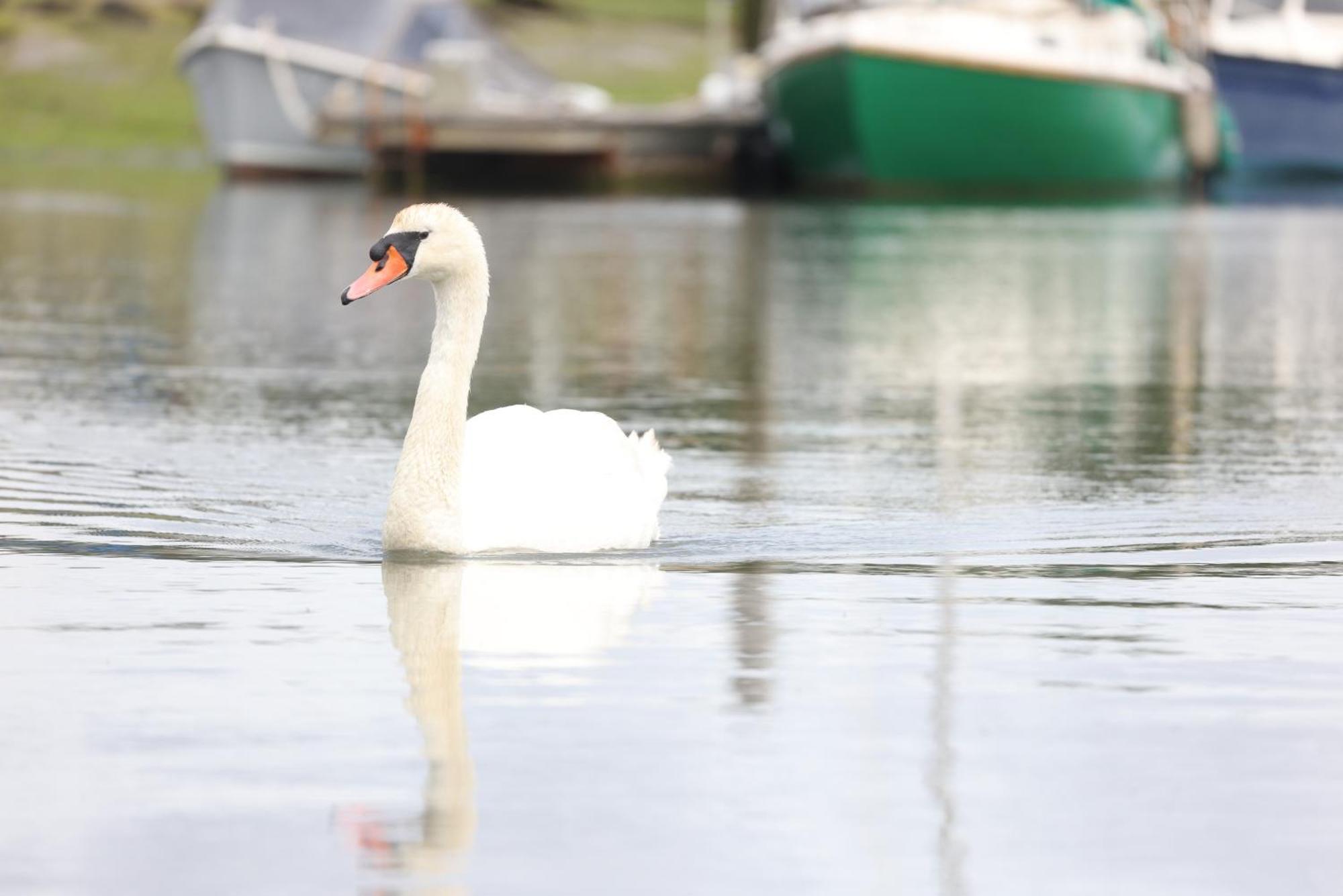 Mercury Yacht Harbour And Holiday Park Bursledon المظهر الخارجي الصورة